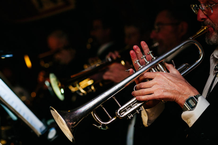 Musician Playing Instrument