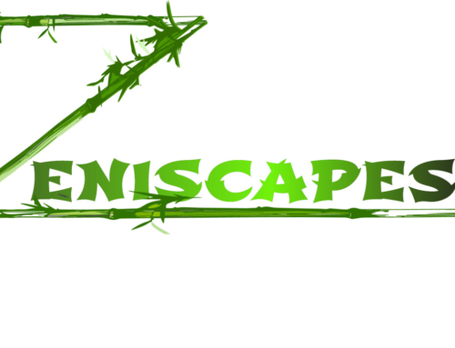 Zeniscapes